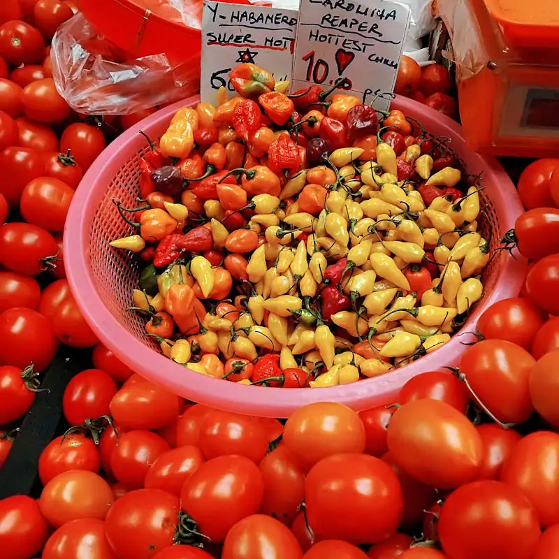 Colorful hot peppers (habanero, carolina reaper) in pink bowl surrounded by red tomatoes at market. Silver Hot, Hottest Chili text.